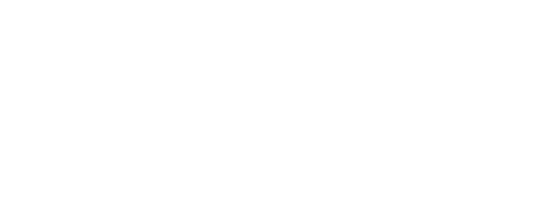 BSL CONSULT |